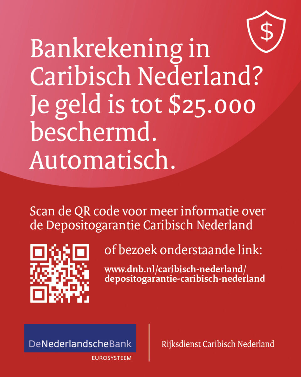 RCN DGS Poster A4 NL