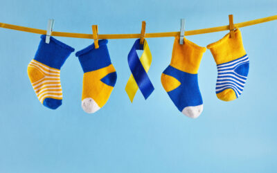 Shutterstock 2272198513