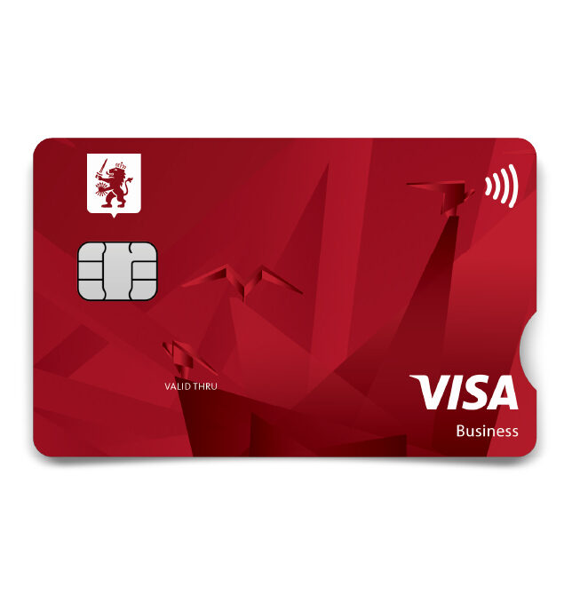 3600 MCBCARDL Visa Business