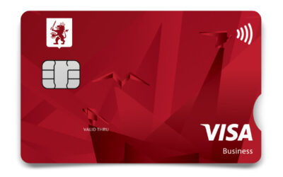 3600 MCB Card Visa Business