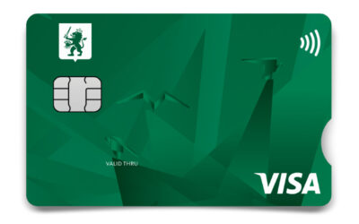 3600 MCB Card visamoney