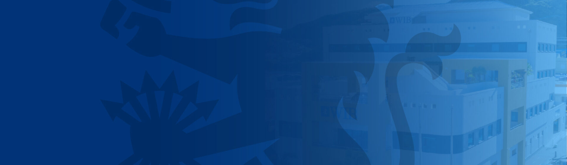 Website banner wibvacancy